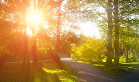 Очаква ни слънчева събота - 1