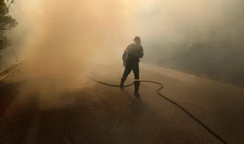 Tragedy in Greece: Two bodies found after a forest fire near Corinth  - 1