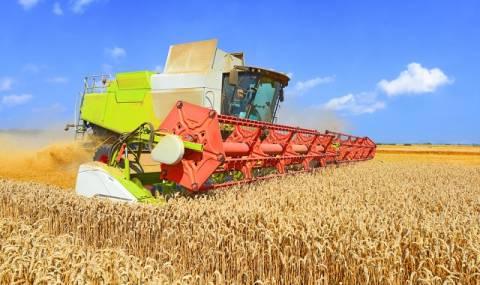 Очакваме над 5 милиона тона пшеница - 1