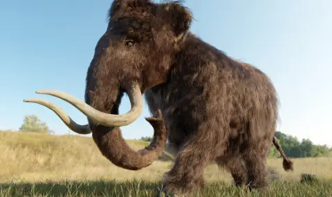 Учени установиха какво е довело до изчезването на мамутите - 1