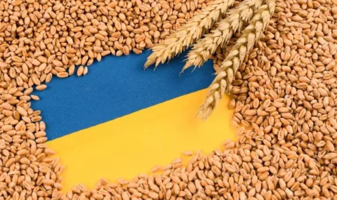 Товарен влак с украинско зърно дерайлира в Хърватия - 1