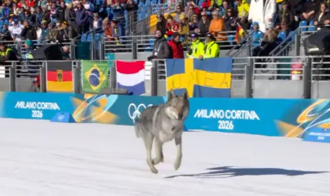 Куче - олимпиец се включи в Милано - Кортина 2026 - 1
