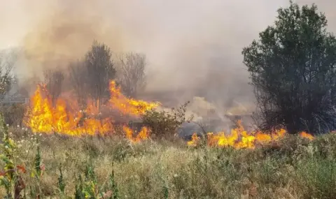 Разрасна се пожарът в ловно стопанство Осогово