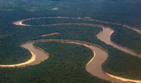 Учени установиха възрастта на Амазонка - 1