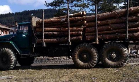 Предлагат АПИ да дава информация на горските за камионите с дърва - 1