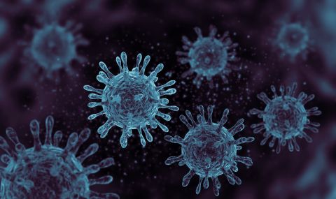 СЗО е притеснена заради индийския вариант на вируса - 1