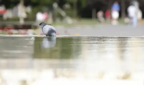 Времето днес, прогноза за петък, 1 август: Дъждът продължава, слънчево в северозапада и на изток - 1