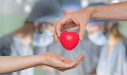 Отбелязваме Европейския ден на донорството и трансплантацията на органи - 1