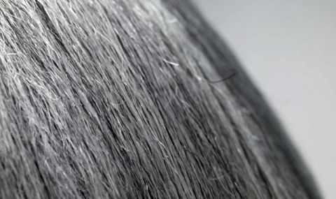 Учени намериха начин да се справят с побеляването на косата (ВИДЕО) - 1