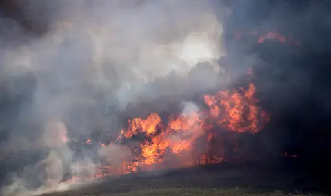 Северна Македония в пламъци: Девет активни пожара и тревога за горещо лято - 1