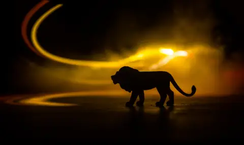 Днес се отваря супер мощният мистичнен портал: Лъвска порта - 08.08.2025 г. - 1