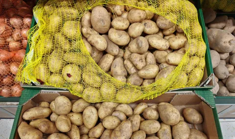 EU potato harvest this year could be one of the smallest in history - 1