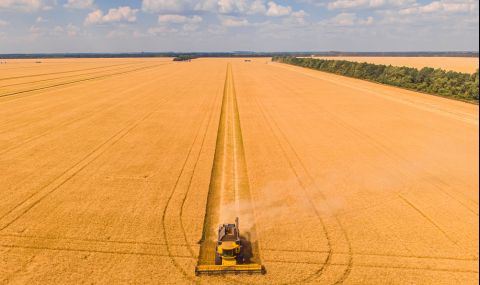 САЩ разработват маршрути за износ на зърно от Украйна - 1