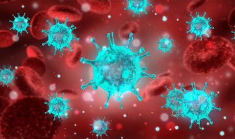 Нови данни за коронавирус: Ковид-19 атакува не само белите дробове - 1