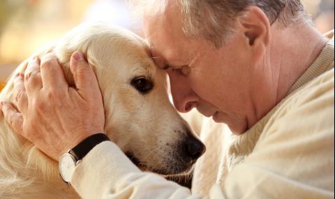 6 начина, по които хората изразяват любовта си - 1