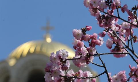 Днес ще е слънчево и топло - 1