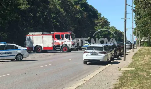 Има непотвърдена версия за причините за смъртоносната катастрофа на бул. "Драган Цанков" в София - 1