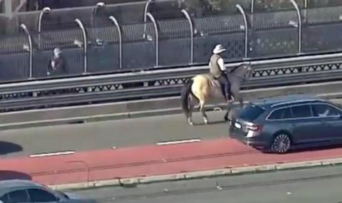 Фермер се качи на коня си, за да протестира - 1