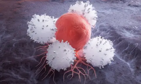 Пробив: Учени изобретиха роботи-мехури за борба с рака - 1