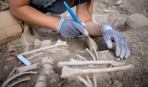 Oткриха един от най-древните случаи на ревматоиден артрит в гробница в Египет - 1