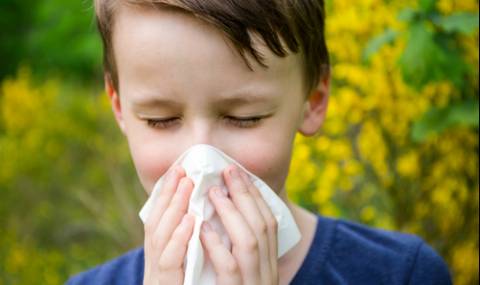 Всеки втори европеец с алергия до 2050 г. - 1