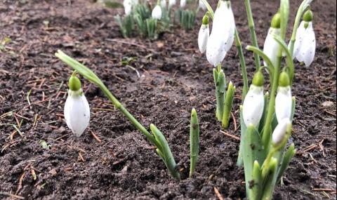 Слънчева неделя, до 18 градуса във вторник - 1