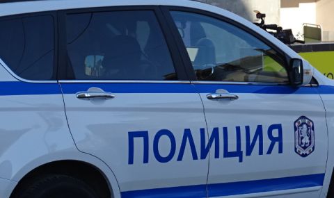 Обирджийката на супермаркет в София ударила охранител с тухла по главата - 1