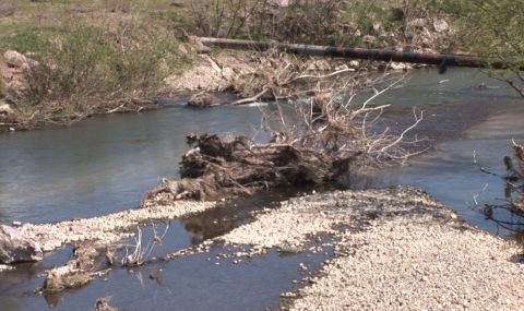 Трудова злополука: 40-годишен мъж загина при сеч на дървета в коритото на река - 1