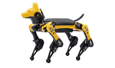 Евтино роботизирано куче (ВИДЕО) - 1