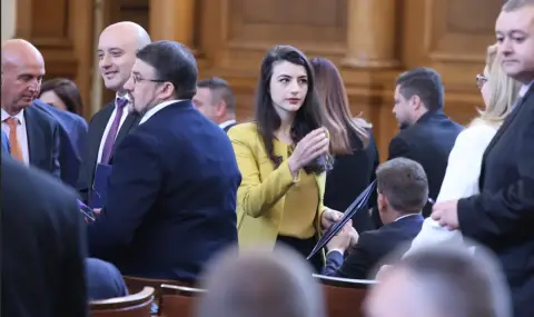 Лена Бориславова: Антикорупционната комисия се използва като политическа бухалка - 1
