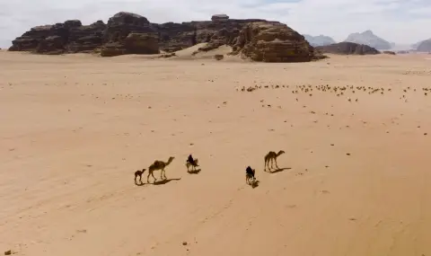 Разкриха откъде са дошли първите хора - 1