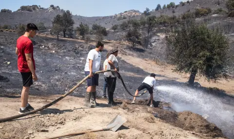 Четири големи пожара бушуват в Турция, още 21 души са задържани заради тях - 1