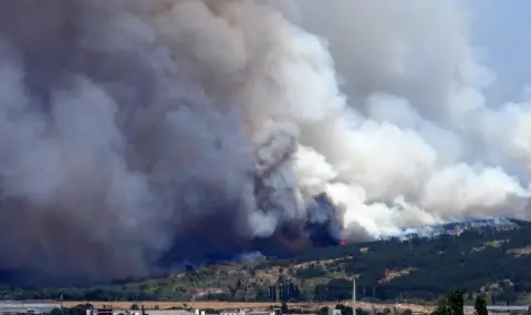 Three villas, an apiary and 200 decares burned near Pazardzhik  - 1