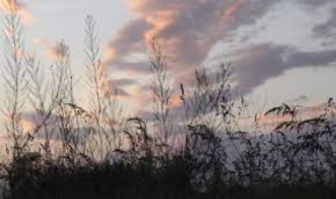 Слънчев вторник - 1