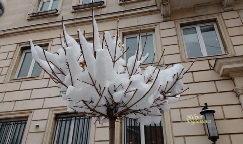 Какво се случва около вас? - 1