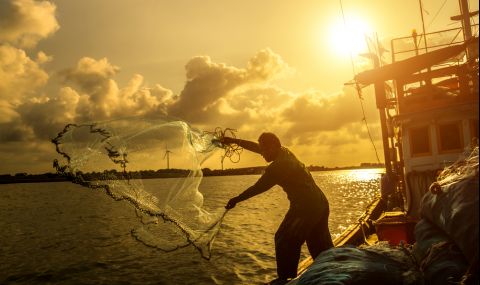 Уловиха гигантска треска с човешки размери (СНИМКИ) - 1