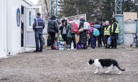 Над 4600 украински бежанци са започнали работа в Румъния - 1