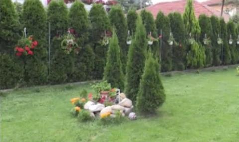Конкурс за най-красив двор в кюстендилско село - 1