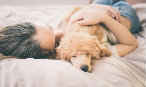 Повечето кучкари спят с кучетата, вместо с партньорите си - 1