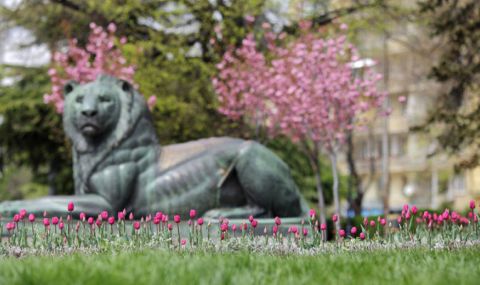 Времето днес, прогноза за четвъртък, 13 април: Слънчево, умерен югозападен вятър - 1