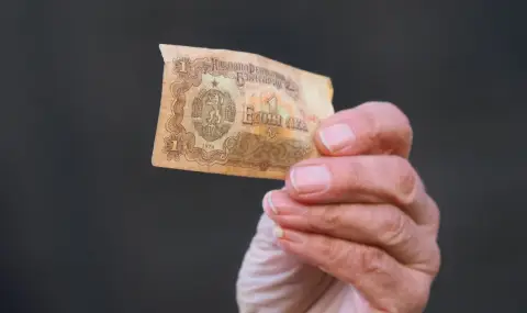 Пореден референдум за лева или Алиса в страната на експертите - 1