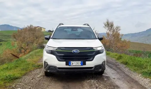 We tested (and off-road) the new Subaru Forester. See how much it costs in our country  - 1