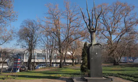 21 декември 2001 г. Седем деца са стъпкани в дискотека "Индиго" СНИМКИ - 1