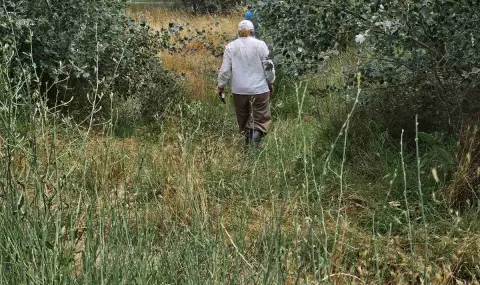 Подозират разлив на препарати за масовото измиране на риба в Марица - 1