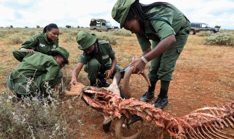 Хората колабират от глад, навсякъде мъртви животни: страшна суша в Кения - 1