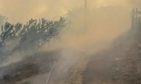Голям пожар в Старозагорско, обявиха бедствено положение - 1