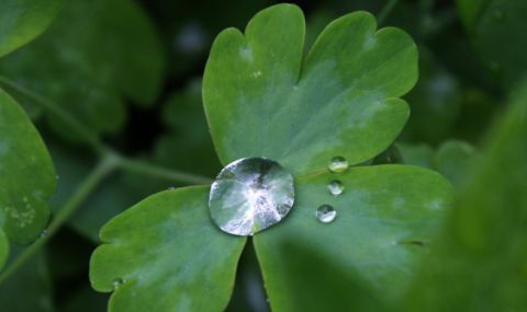 Облачна неделя - 1