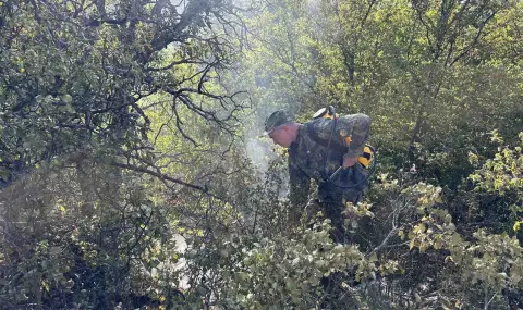 Два хеликоптера и военни помагат за гасенето на пожари в страната - 1
