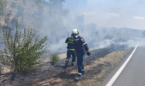 Пореден пожар- този път между Стралджа и пътен възел "Петолъчката" - 1