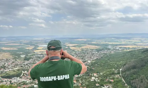 Примамват пантерата в Шуменското плато с "кървави следи" - 1